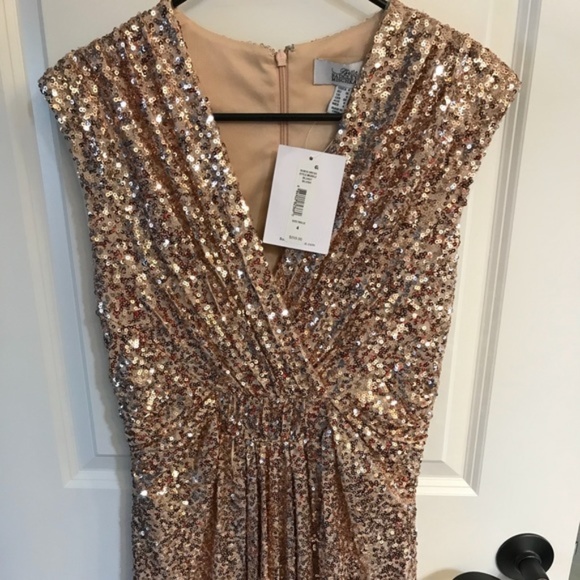 Badgley Mischka Dresses & Skirts - Badgley Mischka Blush Sequined Robin Dress Sz 6